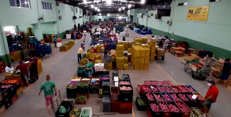 Ceasa/SC lança edital para buscar soluções inovadoras na destinação de resíduos orgânicos