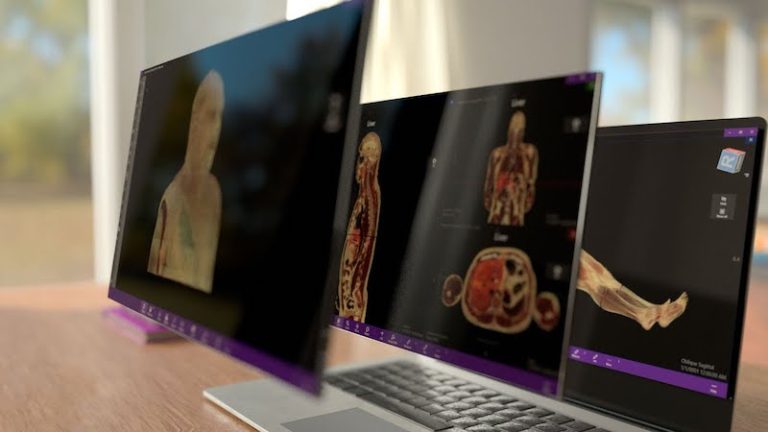 Healthtech catarinense Medical Harbour é vendida para Afya Limited por R$5 milhões