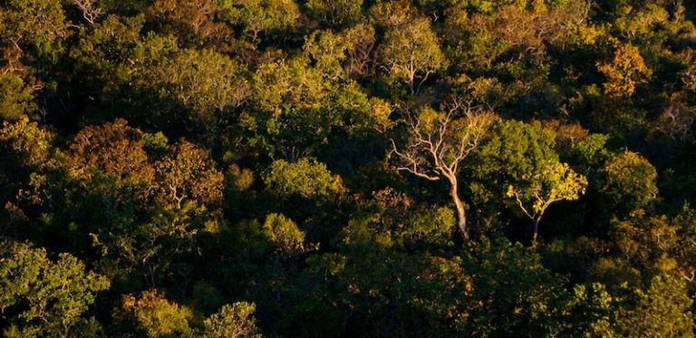 43% dos consumidores globais querem comprar de quem beneficia a sociedade, mesmo a um custo mais alto.
