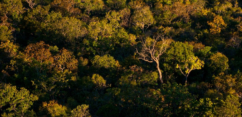 43% dos consumidores globais querem comprar de quem beneficia a sociedade, mesmo a um custo mais alto.