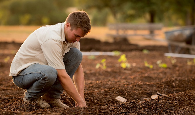 AgTech Summit, promovido pela Vertical da ACATE nos dias 24 e 25 de janeiro, traz autoridades do mercado para abordar desafios como mudanças climáticas e as transformações tecnológicas no campo.