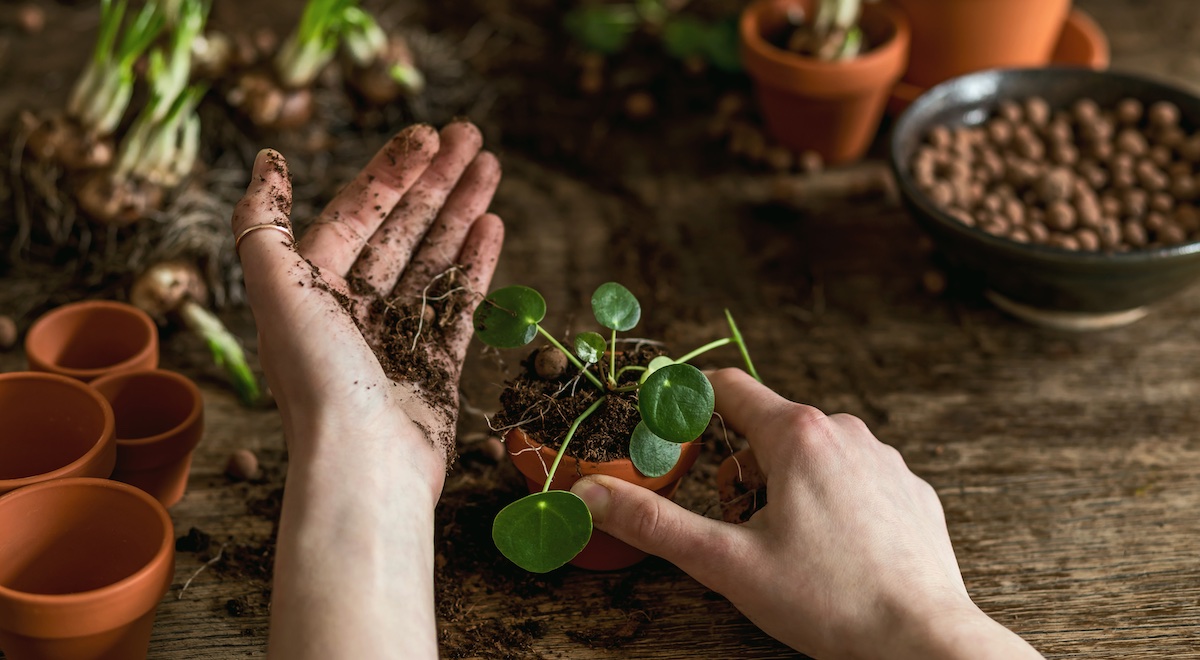 Um desafio cada vez maior à sociedade, na formação, atração e retenção. Mas as cidades não podem fazer seu papel sem universidades, empresas e governos