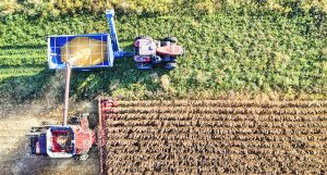 Estado reúne 85 startups do setor, com faturamento acima da média nacional e especializações que acompanham as vocações econômicas de cada região, aponta o Mapa do Agro Catarinense.