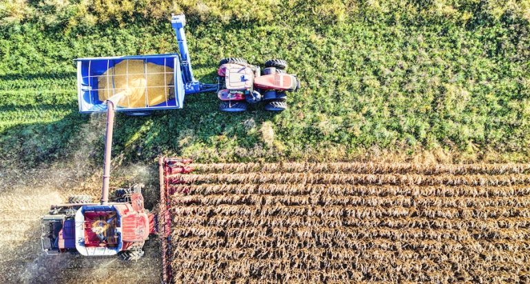Estado reúne 85 startups do setor, com faturamento acima da média nacional e especializações que acompanham as vocações econômicas de cada região, aponta o Mapa do Agro Catarinense.